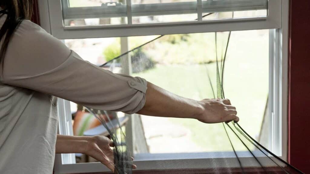 product flex screens a person holding a plant