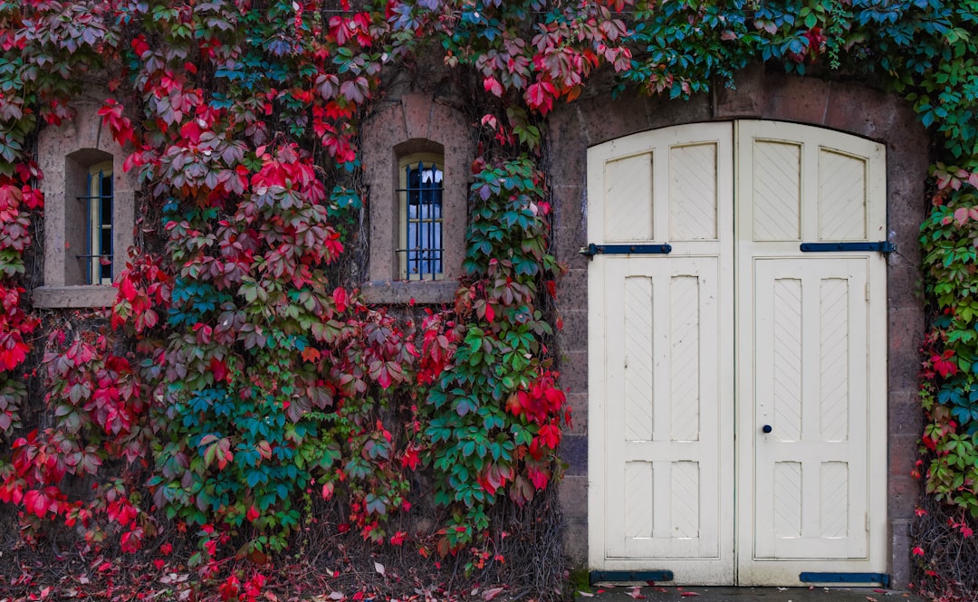 Discover how retractable screen doors can boost energy efficiency, enhance indoor air quality, and contribute to sustainable living in your home.