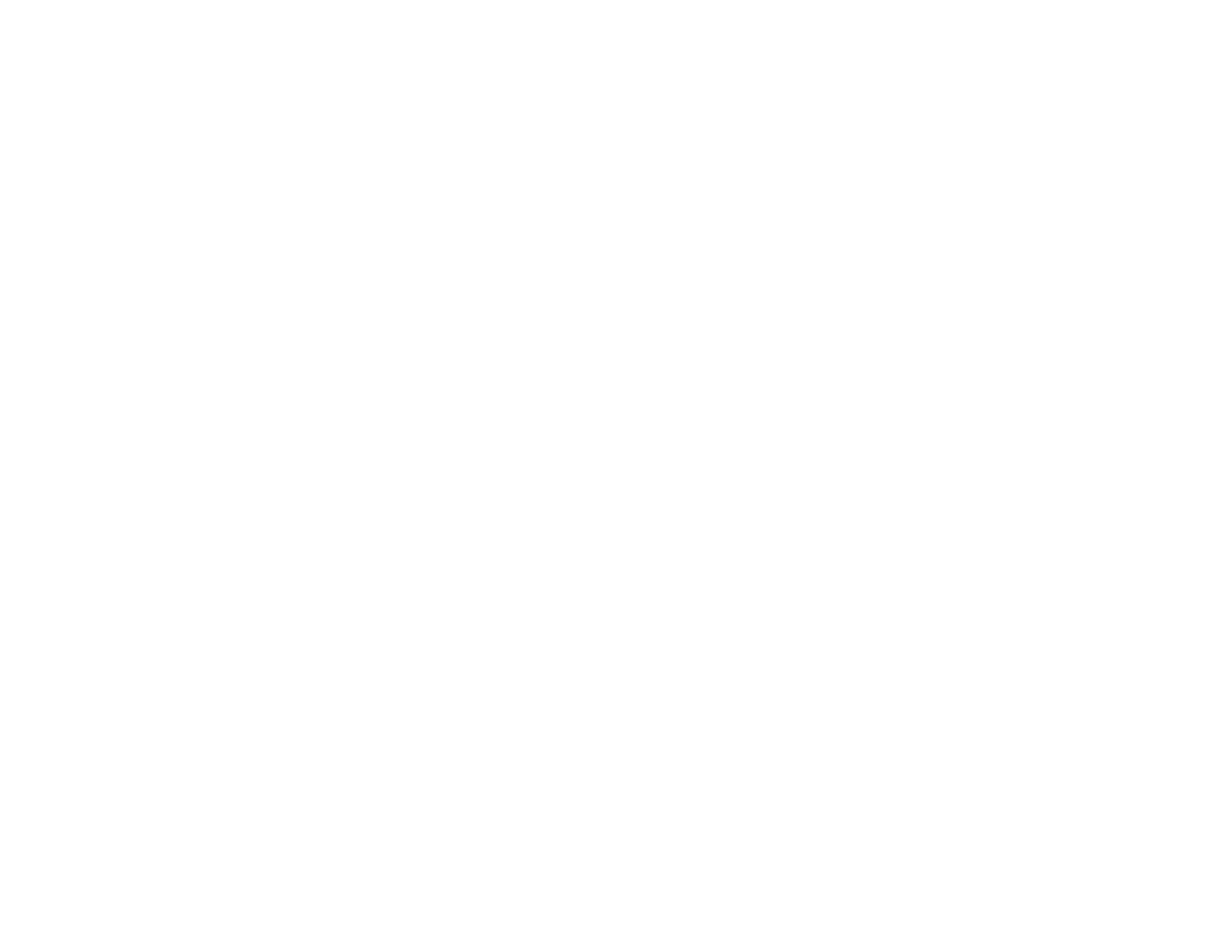 wind o screens horizontal logo white